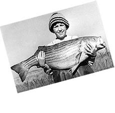 Boy with large striped bass