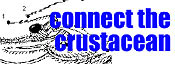 Connect the crustacean