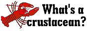What's a crustacean?