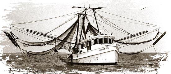 shrimp boat illustration