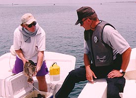 Checking a fish size limit