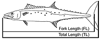 Fork Length Illustration