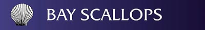 Bay Scallops