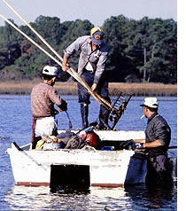 Men Tonging for Oysters