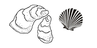 Shellfish