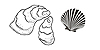 Shellfish