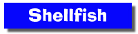 Shellfish