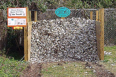 oyster shells